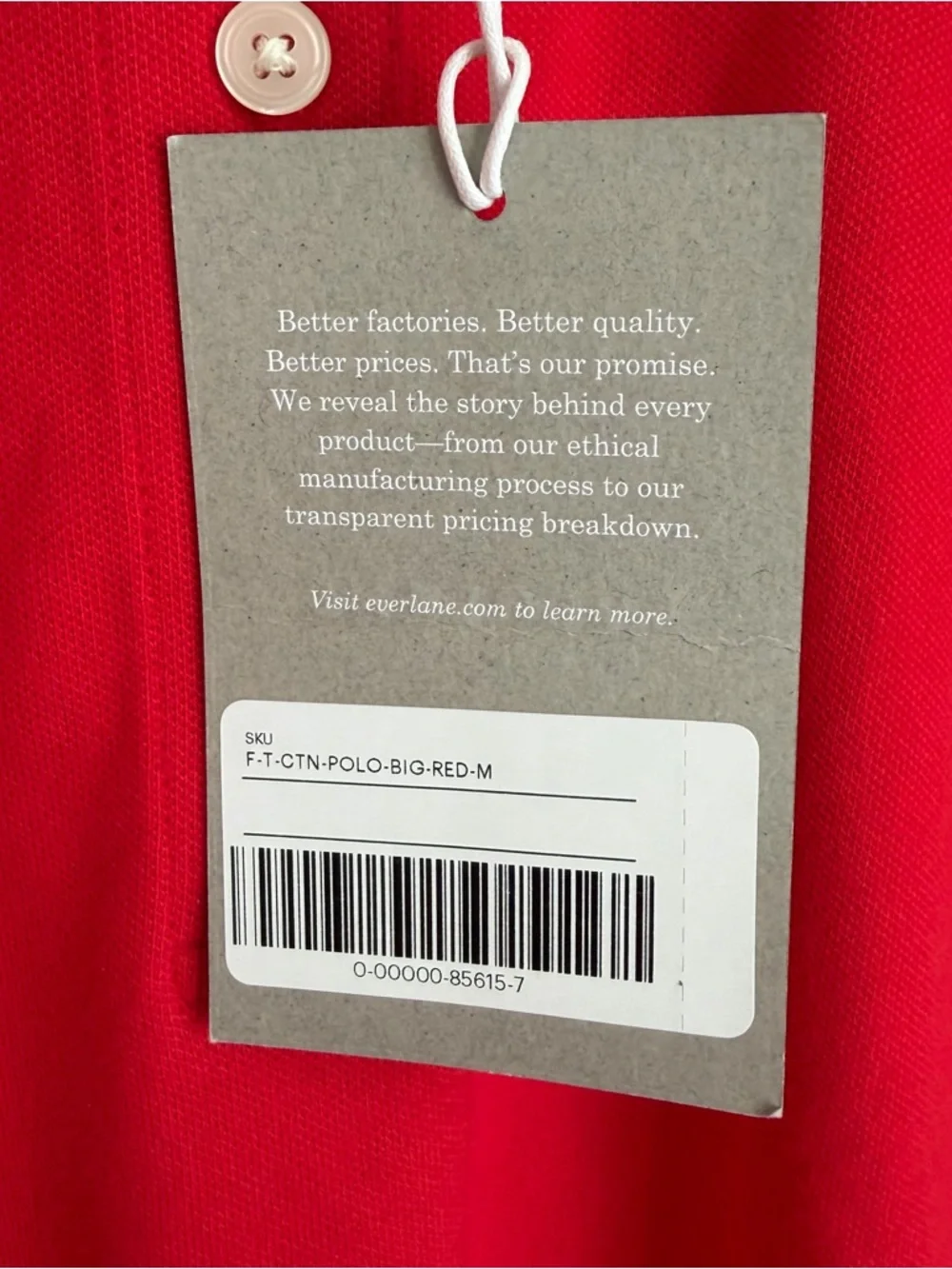 NWT Everlane Short Sleeve Polo Tee - Picture 4 of 5